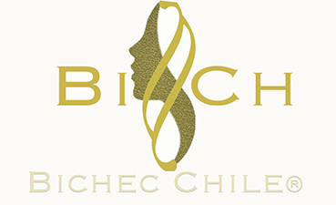 Logo de Bichec Chile